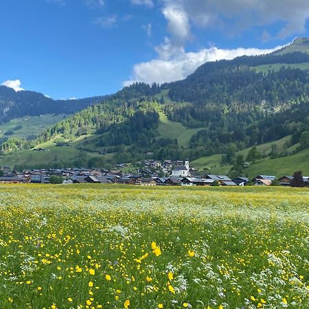 Haus Diedams Schoppernau Bagian luar foto
