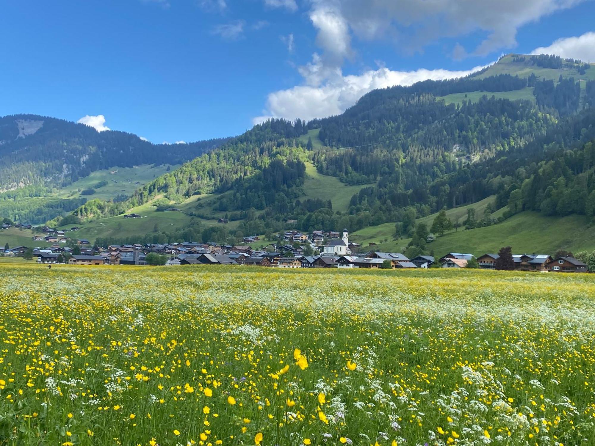 Haus Diedams Schoppernau Bagian luar foto