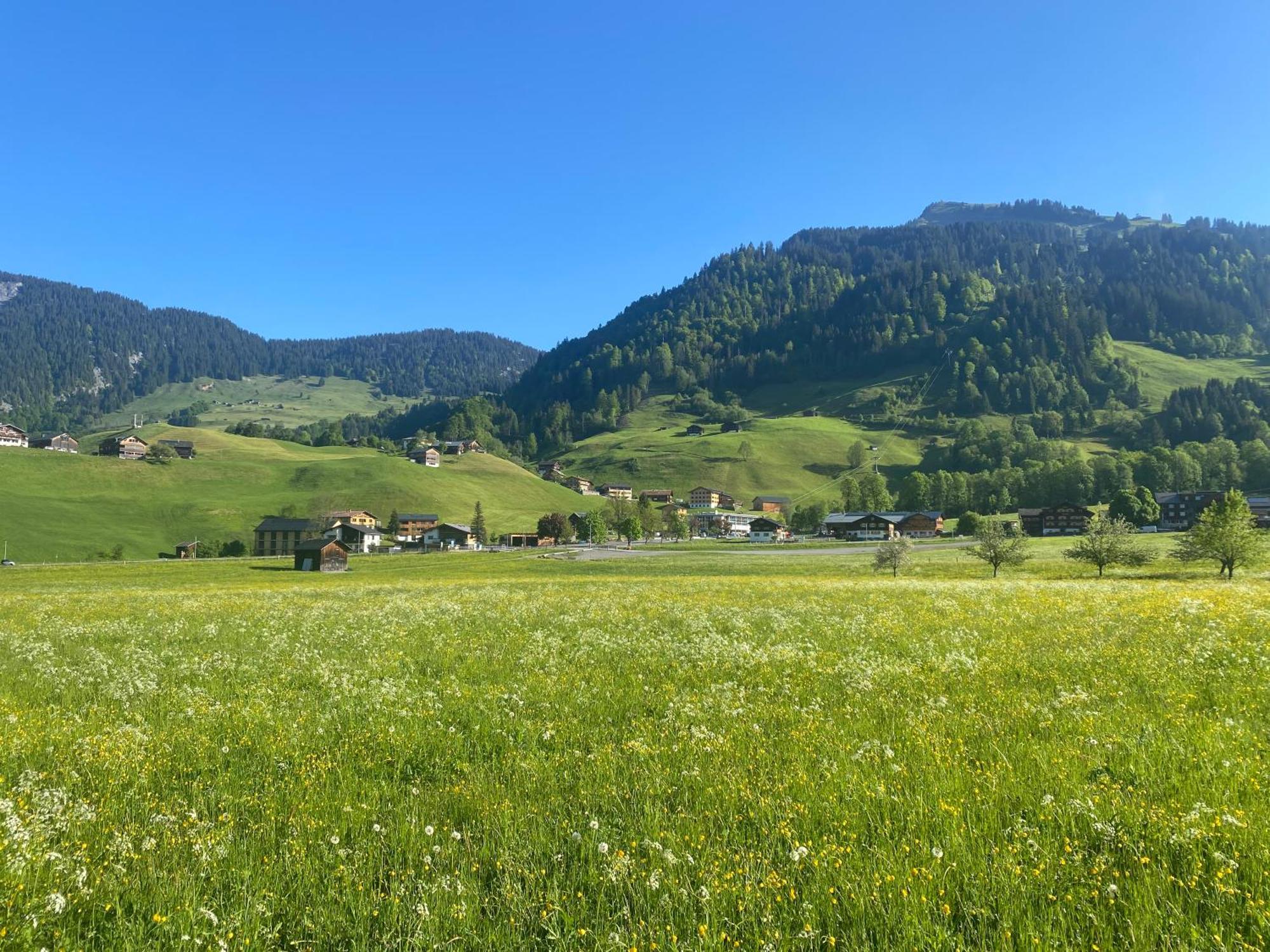 Haus Diedams Schoppernau Bagian luar foto