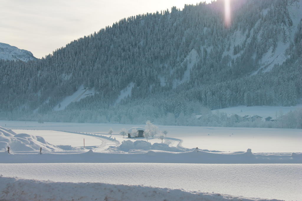 Haus Diedams Schoppernau Bagian luar foto