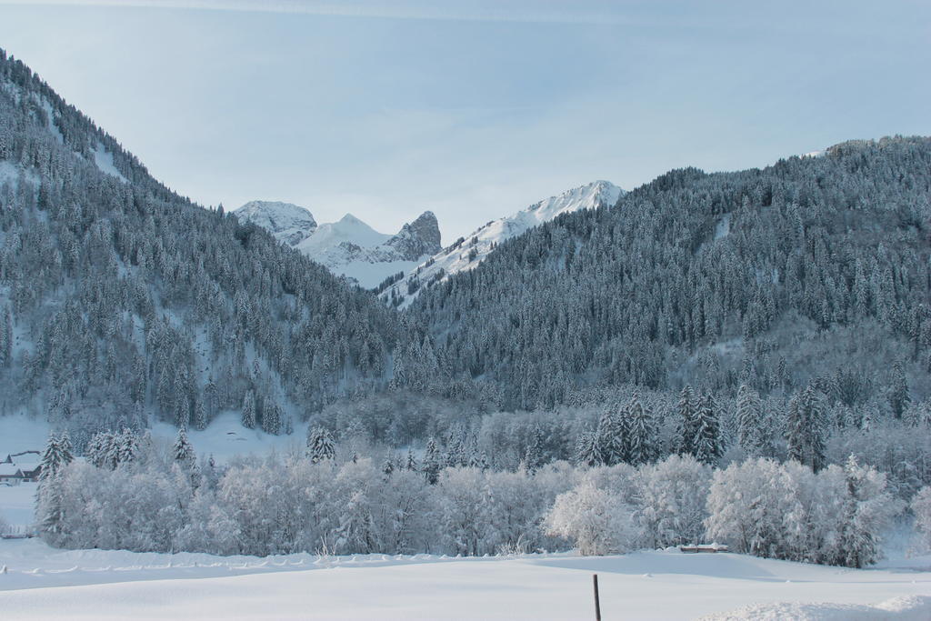 Haus Diedams Schoppernau Bagian luar foto