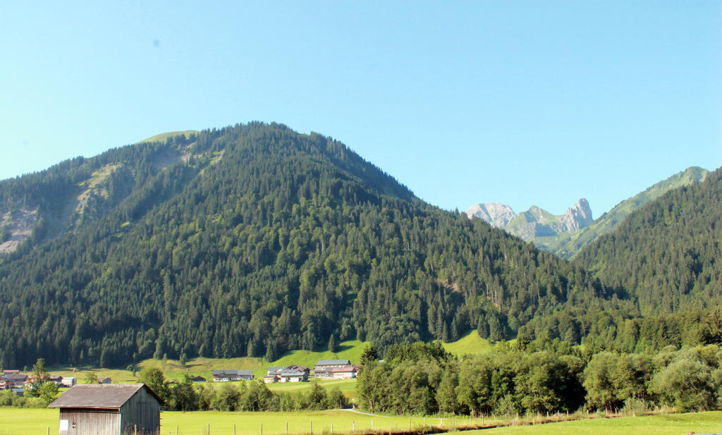 Haus Diedams Schoppernau Bagian luar foto