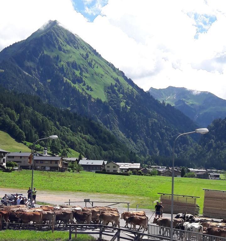 Haus Diedams Schoppernau Bagian luar foto