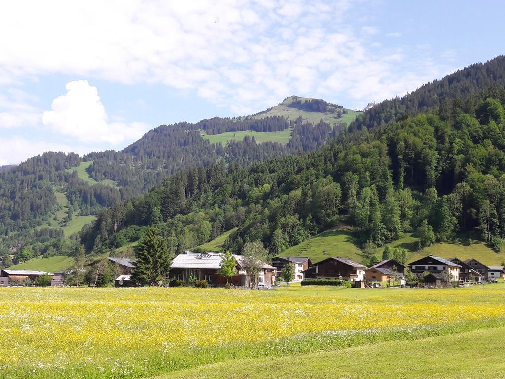 Haus Diedams Schoppernau Bagian luar foto